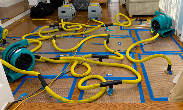 Professional Crawl Space Water Removal technician working in Hemlock, MI